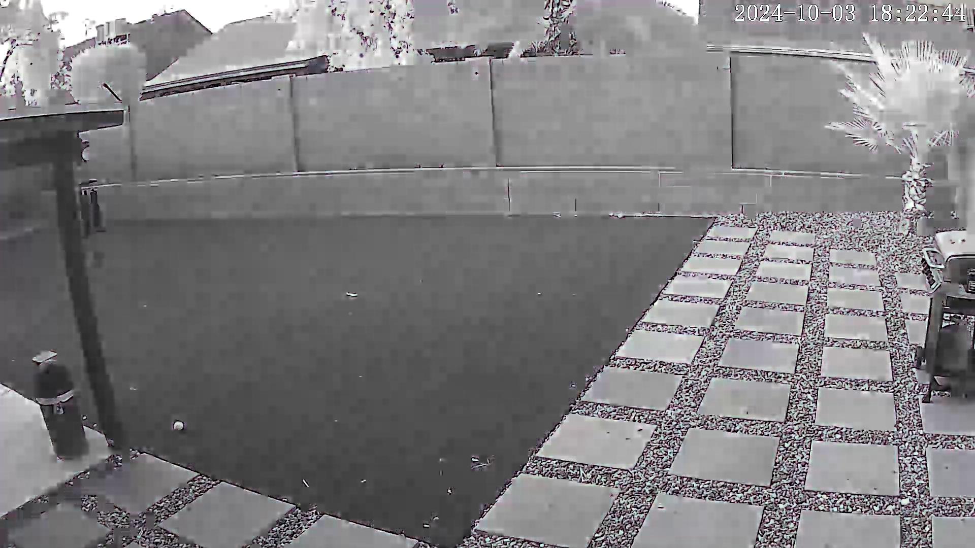 Yard Cam